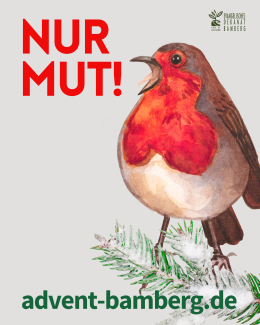 Nur Mut! Digitaler Adventskalender